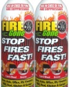 Fire Gone 2NBFG2704 White/Red Fire Extinguisher - 16 oz., (Pack of 2)