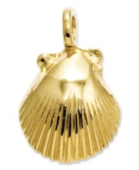 Beach chic. This pretty, detailed seashell comes in 14k gold. Chain not included. Approximate length: 6/10 inch. Approximate width: 4/10 inch. Beach chic. This pretty, detailed seashell comes in 14k gold. Chain not included. Approximate length: 6/10 inch. Approximate width: 4/10 inch.