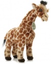 Aurora Plush Mo Giraffe Aurora Baby - 10