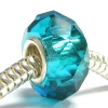 Sterling Silver Birthstone Blue Ziron Crystal European Bead Charm December