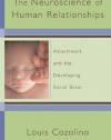 The Neuroscience of Human Relationships: Attachment And the Developing Social Brain (Norton Series on Interpersonal Neurobiology)