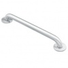 Moen 8724 Home Care 24-Inch Grab Bar, Stainless