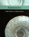 Ammonites