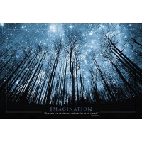 (24x36) Imagination Keep Your Eyes on the Stars and Your Feet on the Ground Art Print Poster (24x36) Imagination Keep Your Eyes on the Stars and Your Feet on the Ground Art Print Poster