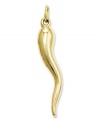 Make a wish! This symbolic good luck charm features a polished Italian horn in 14k gold. Chain not included. Approximate length: 1-1/5 inches. Approximate width: 1/5 inch.