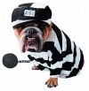 Zelda Prisoner Dog Costume Size Medium