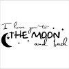 (NEW) I Love You To The Moon And Back wall sayings vinyl lettering art decal quote sticker home decal