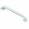 Moen 8718 Home Care 18-Inch Grab Bar, Stainless