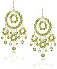 Jamie Kole Classic 14k Gold Fill and Swarovski Crystal Multi-Circle Earrings Jamie Kole Classic 14k Gold Fill and Swarovski Crystal Multi-Circle Earrings