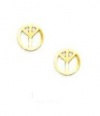 Solid 14k gold Peace Sign Friction-Back Post Earrings - 7mm - JewelryWeb
