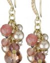 Carolee Rose Colored Glow Gold-Tone Amethyst and Rose Cluster Bead Earrings