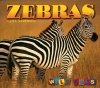 Zebras (Wild Ones)