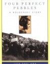 Four Perfect Pebbles: A Holocaust Story