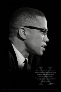 Malcolm X (Brotherhood) Art Poster Print - 24x36 Poster Print, 24x36 Photography Poster Print, 24x36 Malcolm X (Brotherhood) Art Poster Print - 24x36 Poster Print, 24x36 Photography Poster Print, 24x36