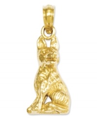 Honor your favorite breed. This polished charm features an intricately-carved German Shepherd dog in 14k gold. Chain not included. Approximate length: 9/10 inch. Approximate width: 2/5 inch. Honor your favorite breed. This polished charm features an intricately-carved German Shepherd dog in 14k gold. Chain not included. Approximate length: 9/10 inch. Approximate width: 2/5 inch.
