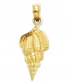 Seaside style. This sweet conch shell charm features a delightfully-detailed surface crafted in 14k gold. Approximate length: 9/10 inch. Approximate width: 4/10 inch.
