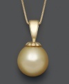 Add a ray of sunshine to your wardrobe. An exotic golden south sea pearl (10-11 mm) hangs from an intricate 14k gold setting and chain. Approximate length: 18 inches. Approximate drop: 3/4 inch.