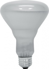 GE Lighting 20331 65-Watt BR30 Floodlight Bulb, Soft White