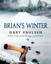 Brian's Winter