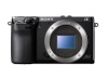 Sony NEX-7 24.3 MP Compact Interchangeable Lens Camera - Body Only