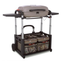 Char-Broil Grill 2 Go Ice Real Tree Edition TRU Infrared Grill Char-Broil Grill 2 Go Ice Real Tree Edition TRU Infrared Grill