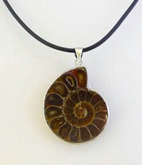Ammonite Fossil Natural Gemstone Pendant with 18 Black Leather Core Necklace Ammonite Fossil Natural Gemstone Pendant with 18 Black Leather Core Necklace