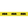 Batman The Dark Knight Streamer, 30ft