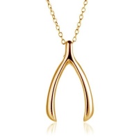 Bling Jewelry 925 Gold Vermeil Wishbone Pendant Necklace with Chain 16 inches Bling Jewelry 925 Gold Vermeil Wishbone Pendant Necklace with Chain 16 inches