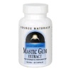 Source Naturals Mastic Gum Extract 500mg, 60 Capsules (Pack of 2)