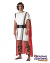 Original Adult Toga/ Mark Anthony Costume