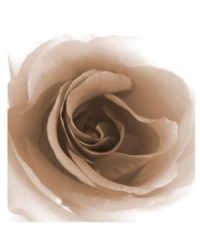 Bask in the close up of a gorgeous rose in this quietly stunning canvas print by Leftbank. The soft sepia tint creates a contemplative mood inviting the viewer to reflect on the amazing beauty of nature. Bask in the close up of a gorgeous rose in this quietly stunning canvas print by Leftbank. The soft sepia tint creates a contemplative mood inviting the viewer to reflect on the amazing beauty of nature.
