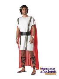 Original Adult Toga/ Mark Anthony Costume Original Adult Toga/ Mark Anthony Costume