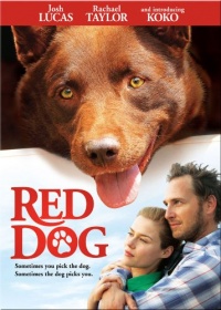Red Dog Red Dog