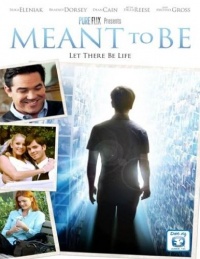 Meant to Be Meant to Be