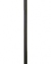 Normande Lighting JS1-111 Trac 3-Light Tree Lamp, Black
