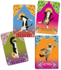 Cat Yoga Postcards Cat Yoga Postcards