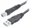 Belkin Hi-Speed USB 2.0 Cable (10 Feet)