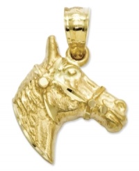 Get equestrian! This shiny charm features an intricately-carved horse head in 14k gold. Chain not included. Approximate length: 7/10 inch. Approximate width: 1/2 inch. Get equestrian! This shiny charm features an intricately-carved horse head in 14k gold. Chain not included. Approximate length: 7/10 inch. Approximate width: 1/2 inch.