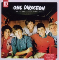 What Makes You Beautiful What Makes You Beautiful