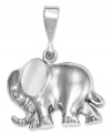 Commemorate a once-in-a-lifetime safari, or simply add a touch of good luck. This polished elephant charm is set in 14k white gold. Chain not included. Approximate length: 1 inch. Approximate width: 3/4 inch.