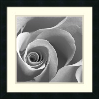 Rose Spiral II Framed Art Print Framed Decorative Art Print - 18 x 18 Rose Spiral II Framed Art Print Framed Decorative Art Print - 18 x 18