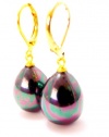 Iridescent Black Mother of Pearl Dangle Earrings