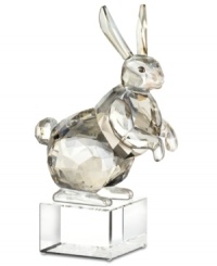 Get spiritual with the zodiac symbol for peace, stability and tranquility – the rabbit. Captured in smooth and faceted silvertone crystal, this Swarovski figurine features an authentic Asian design atop a base engraved with English and Chinese seal script. Get spiritual with the zodiac symbol for peace, stability and tranquility – the rabbit. Captured in smooth and faceted silvertone crystal, this Swarovski figurine features an authentic Asian design atop a base engraved with English and Chinese seal script.