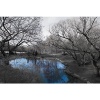 Central Park in Black and White with Blue Pond, Photography Poster Print, 24 by 36-Inch