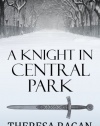 A Knight in Central Park