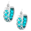 Inox Womens Aqua Blue Clover Design Resin Stainless 316L Steel Earrings