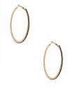 GUESS by Marciano Black Rhinestone Hoops, GOLD DUST