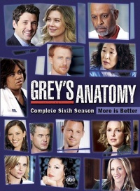 Grey's Anatomy: The Complete Sixth Season