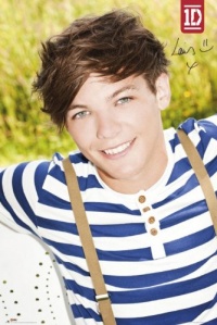 (24x36) One Direction Louis Music Poster (24x36) One Direction Louis Music Poster