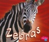 Zebras (African Animals)